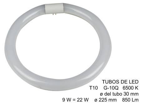 TUBO CIRCULAR LED 15W equivalente 22W 6500K